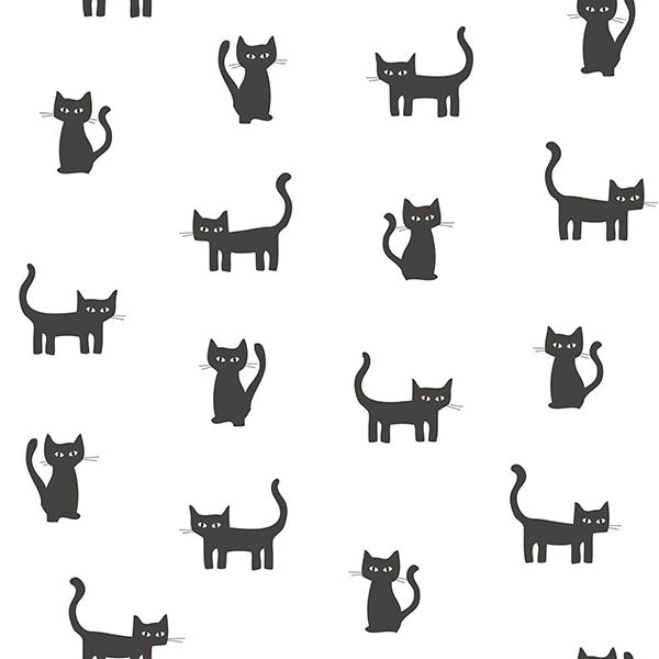 Shop Salem Black Kittens Wallpaper from Design Department by