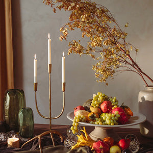 collection picture for Fall Table 90