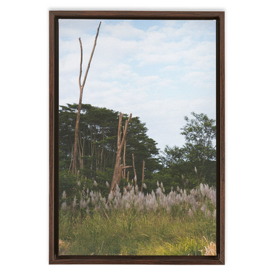 product image for Meadow Framed Canvas 79