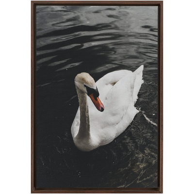 product image for Swan Framed Canvas 43