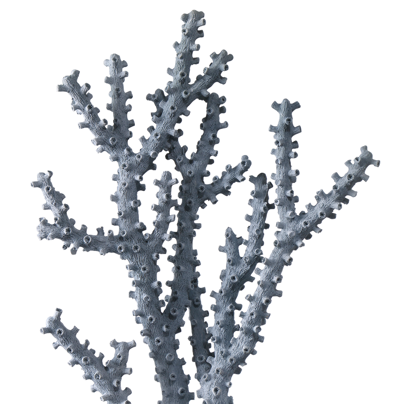 media image for Blue Coral Set Of 2 By Currey Company Cc 1200 0797 3 221