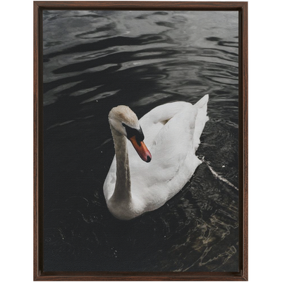 product image for Swan Framed Canvas 61