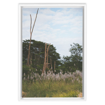product image for Meadow Framed Canvas 47
