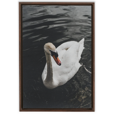 product image for Swan Framed Canvas 93