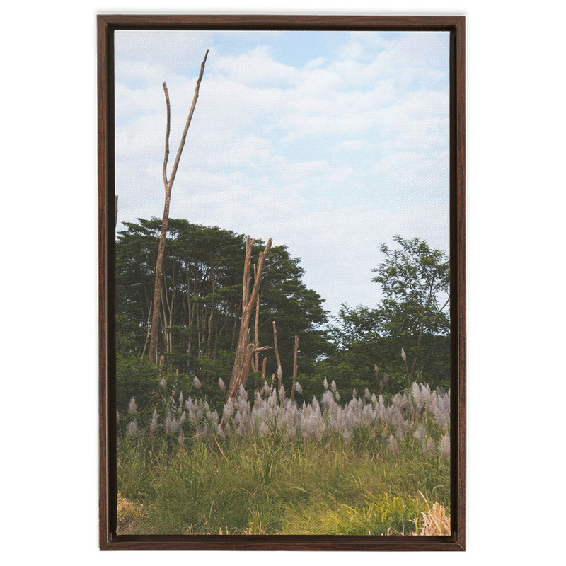 media image for Meadow Framed Canvas 247