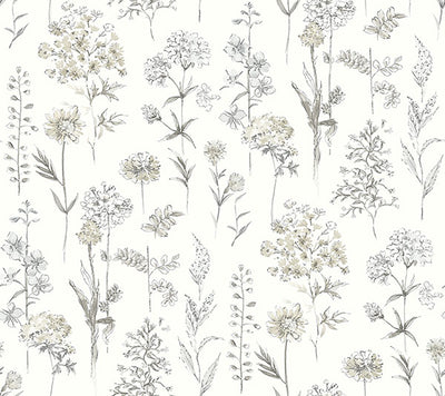 product image of Bergamot Light Grey Wildflower Wallpaper 564