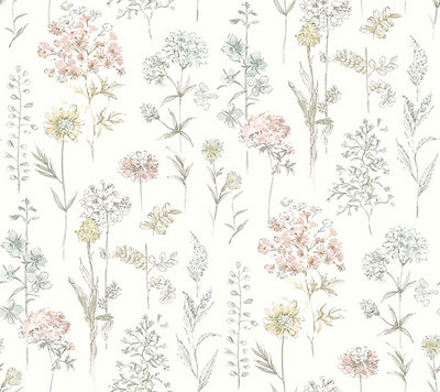 product image of Bergamot Pastel Wildflower Wallpaper 547