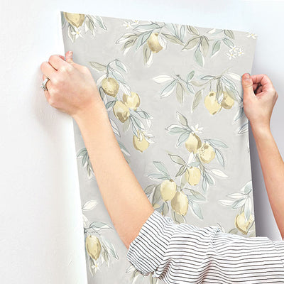 product image for Lemonade Grey Citrus Wallpaper 34