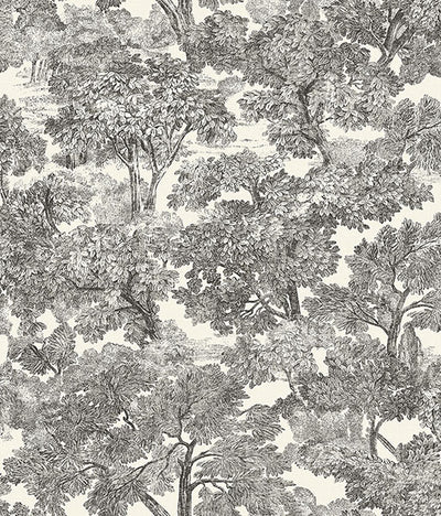 product image for Spinney Black Toile Wallpaper 88