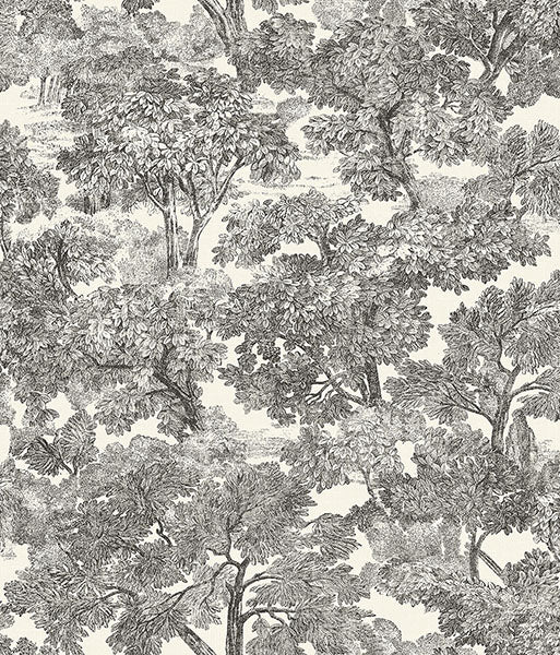 media image for Spinney Black Toile Wallpaper 276