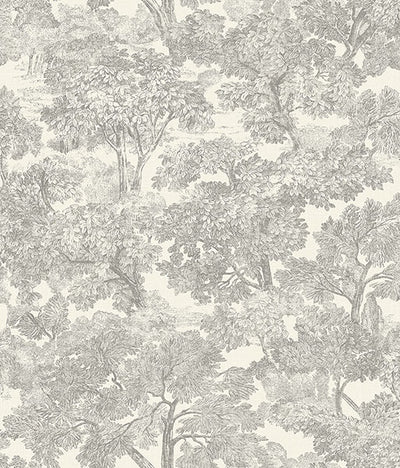 product image of Spinney Grey Toile Wallpaper 555