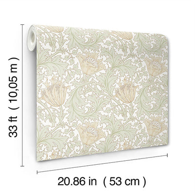 product image for Anemone Light Green Floral Trail Wallpaper 8