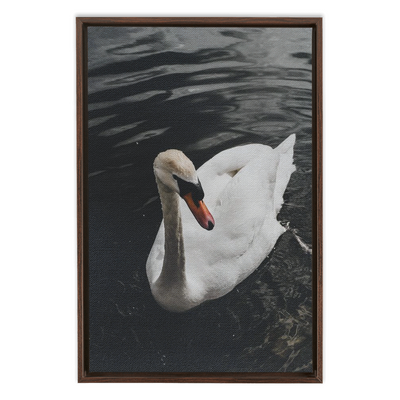 product image for Swan Framed Canvas 90