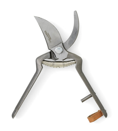 product image for Pallares x Audo Plant Pruner 2 9