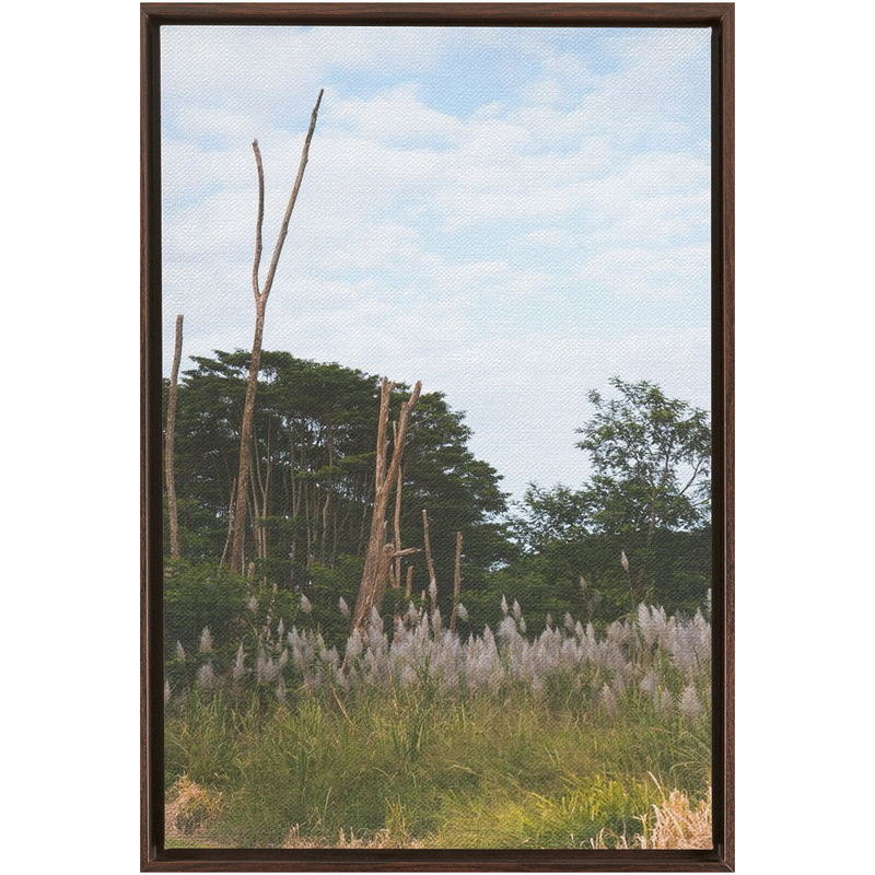 media image for Meadow Framed Canvas 244