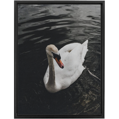 product image for Swan Framed Canvas 53