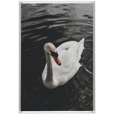 product image for Swan Framed Canvas 43