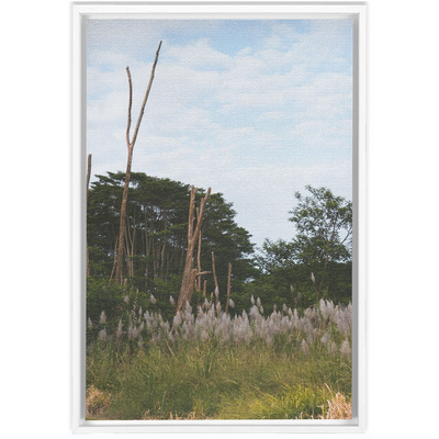 product image for Meadow Framed Canvas 23