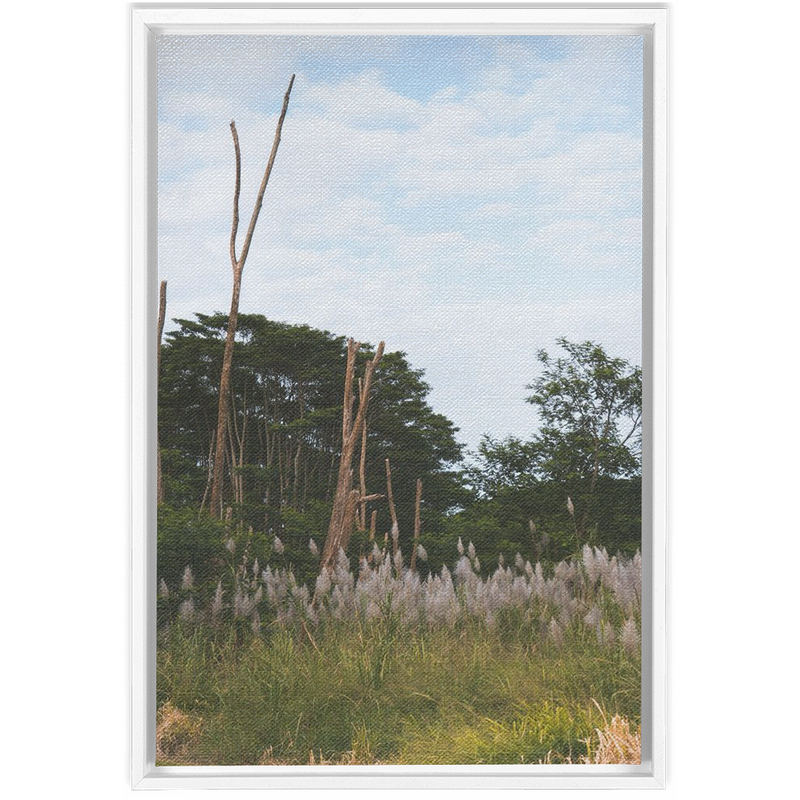 media image for Meadow Framed Canvas 290
