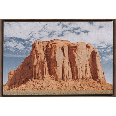 product image for Monument Framed Canvas 76