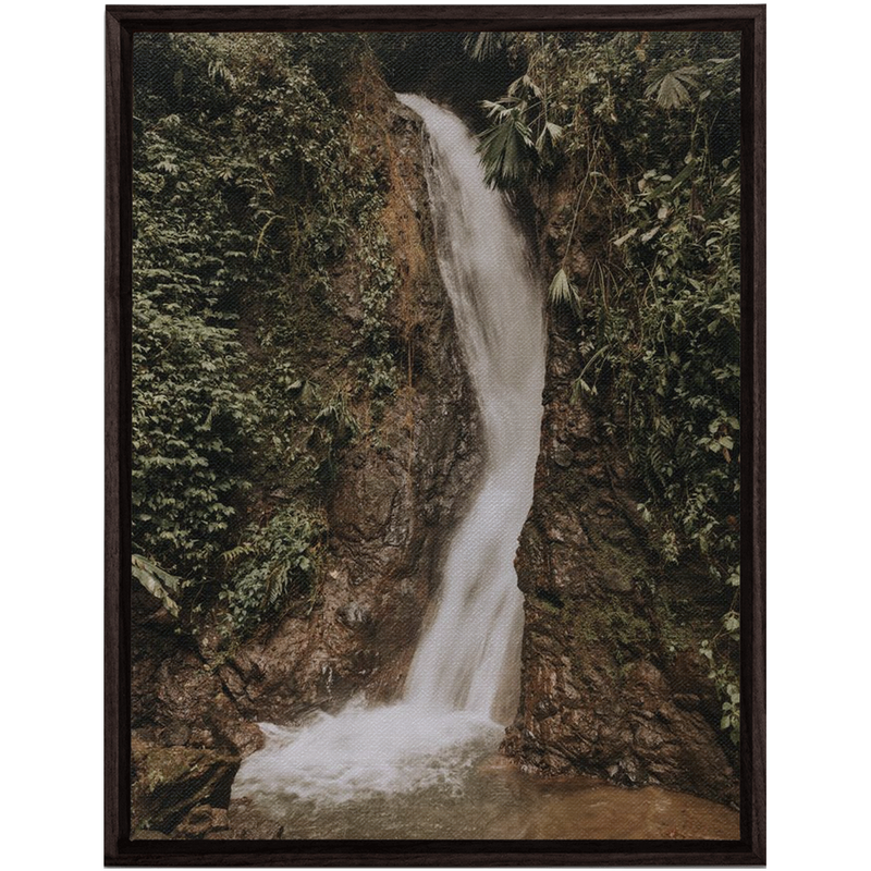 media image for La Fortuna Framed Canvas 242