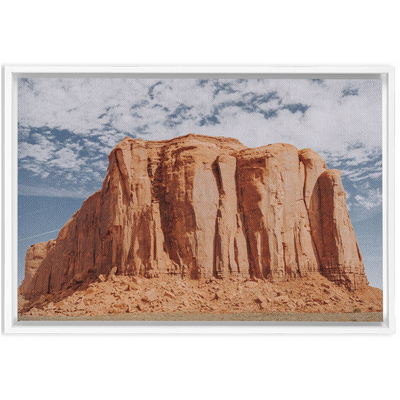 product image for Monument Framed Canvas 49