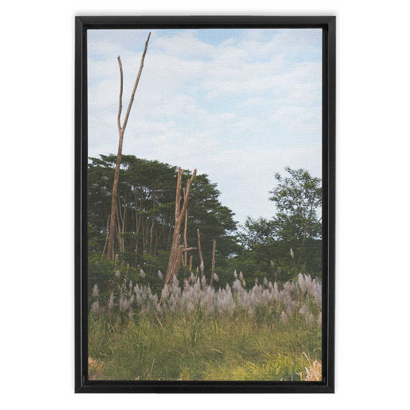 media image for Meadow Framed Canvas 231
