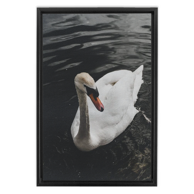 product image for Swan Framed Canvas 8