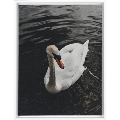 product image for Swan Framed Canvas 93