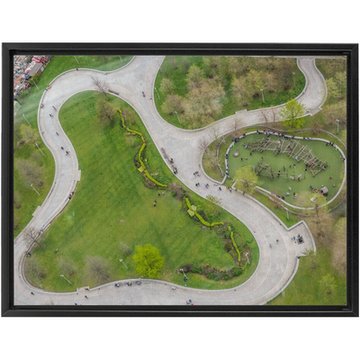 product image for Park Life Canvas 49