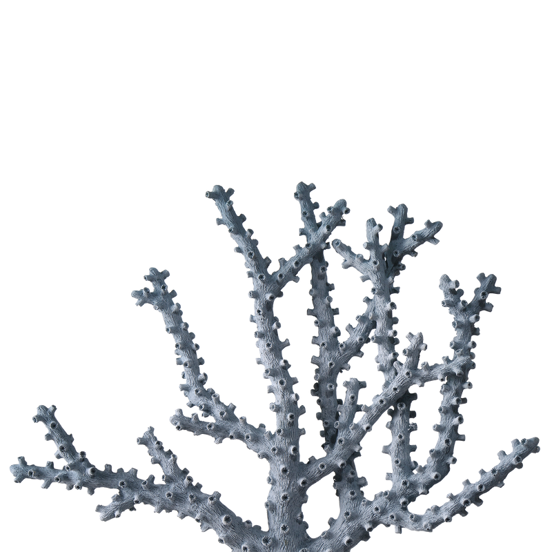 media image for Blue Coral Set Of 2 By Currey Company Cc 1200 0797 4 285