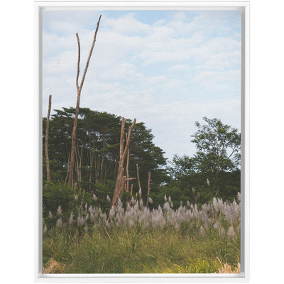 product image for Meadow Framed Canvas 91