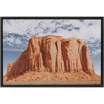 product image for Monument Framed Canvas 39