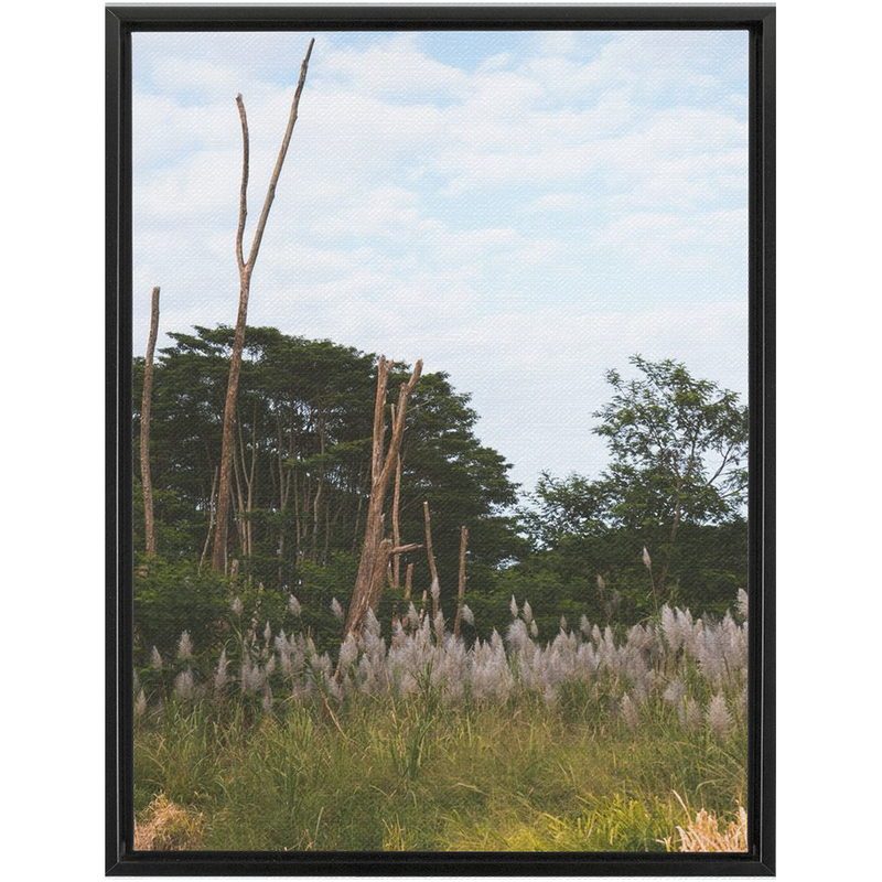 media image for Meadow Framed Canvas 212