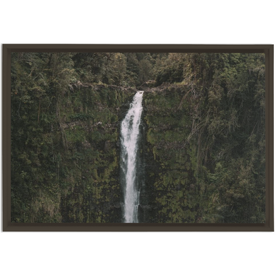 product image for Waterfall Framed Canvas 89