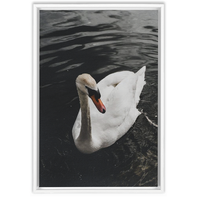 product image for Swan Framed Canvas 41