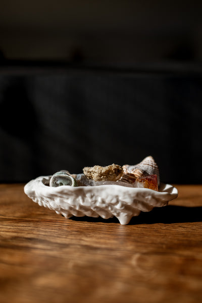 product image for Shell Tray Oyster 73