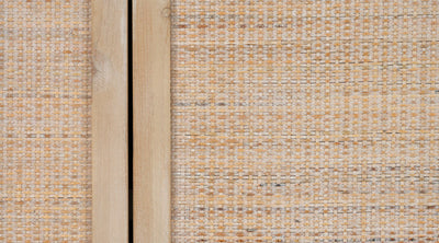 product image for Reed 2 Door Accent Cabinet 5 16
