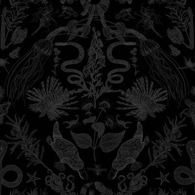 product image of Critters Wallpaper in Black/Black 550