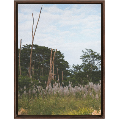 product image for Meadow Framed Canvas 33