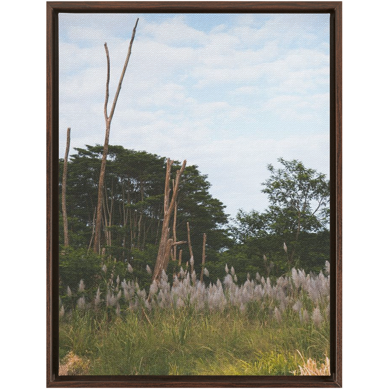 media image for Meadow Framed Canvas 299