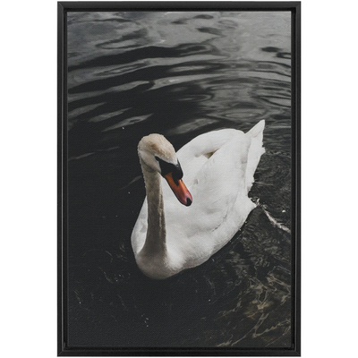 product image for Swan Framed Canvas 34