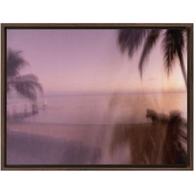 product image for Tahitian Sunrise Framed Canvas 38