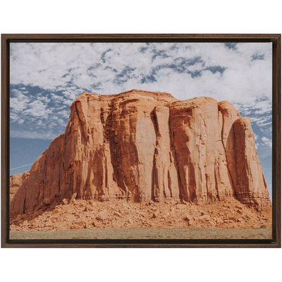 product image for Monument Framed Canvas 59