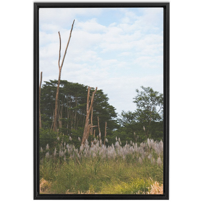 product image for Meadow Framed Canvas 89