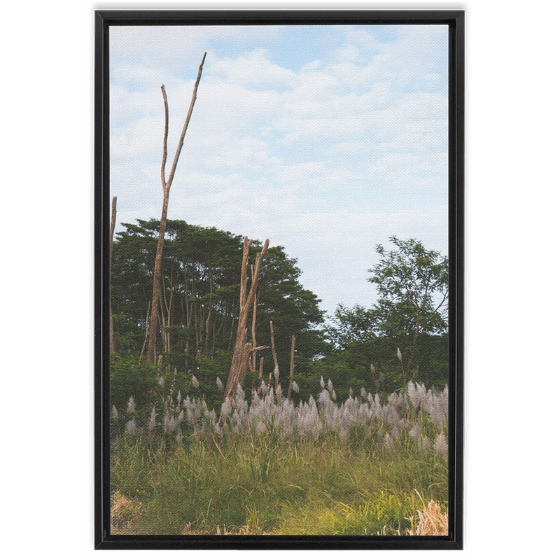 media image for Meadow Framed Canvas 277