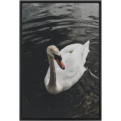 product image for Swan Framed Canvas 42