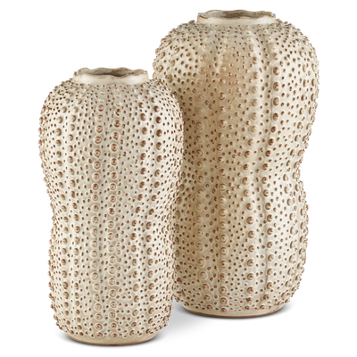 product image for Peanut Vase By Currey Company Cc 1200 0743 6 65