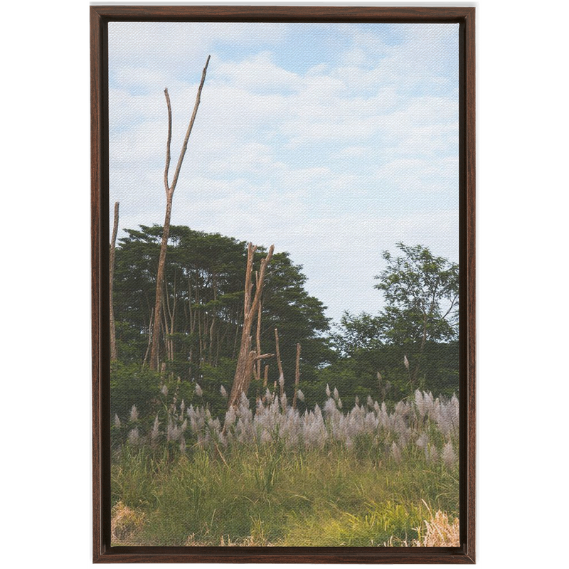 media image for Meadow Framed Canvas 259