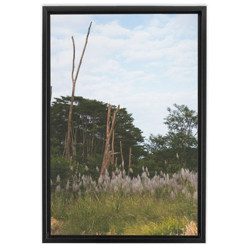 media image for Meadow Framed Canvas 266